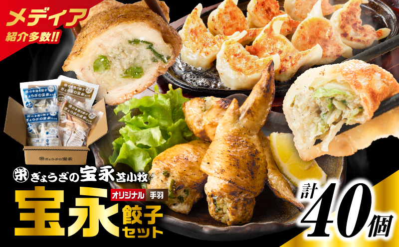 手包み餃子 ぎょうざの宝永 手羽餃子40個セット（宝永餃子15個入×2袋・手羽餃子5個入×2袋）　T004-006-02