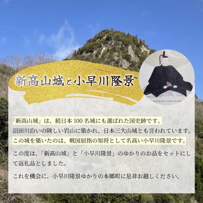 【新高山城】御城印 2種・ 【高山城】御城印・【小早川隆景 関連品】 セット 御城印 和柄 雑貨 広島県三原市 110002