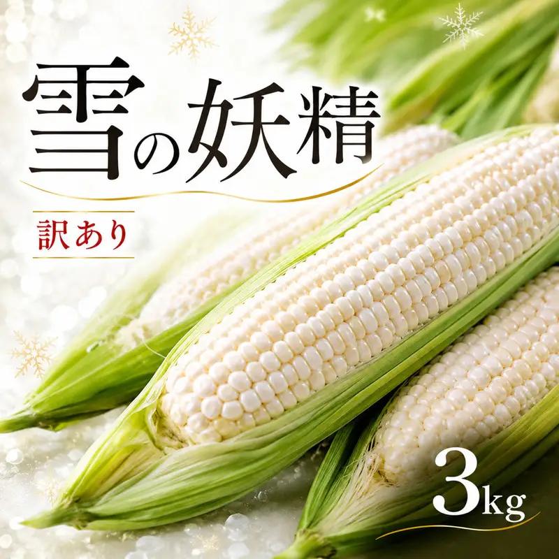 訳あり 白いとうもろこし 約3kg 【とうもろこし】