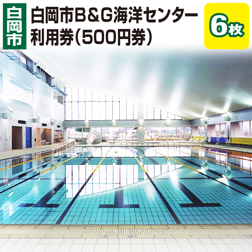 白岡市B&G海洋センター利用券（500円券）6枚　【11246-0272】