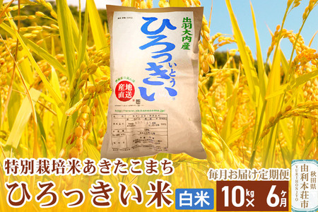 《定期便6ヶ月》【白米】 秋田県産 あきたこまち 10kg  令和6年産 特別栽培米 ひろっきい米