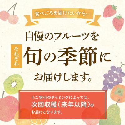 ふるさと納税 三豊市 【発送月固定定期便】香川県・三豊市共通返礼品　フルーツ旬の果物　Bセット全3回
