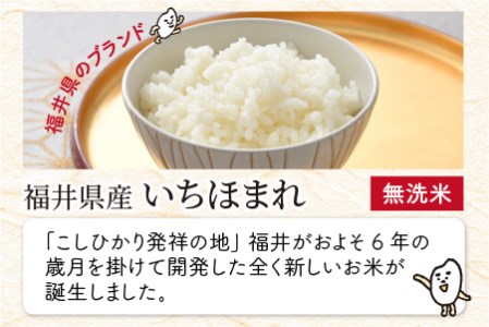 【令和5年産】 定期便 ≪6ヶ月連続お届け≫ 福井県のブランド米 いちほまれ 無洗米 10kg × 6回 計60kg 【 無洗米 人気 品種 ブランド米 特A 】 [K-6155]