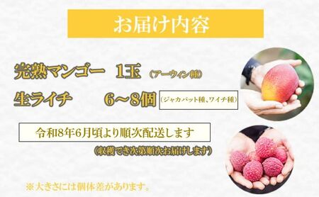 【令和7年6月中旬ごろより発送】完熟マンゴーと生ライチのセット マンゴー 1玉 生ライチ 6～8玉入り 室戸海洋深層水使用 アップルマンゴー （アーウィン） 生ライチ 国産 先行予約 先行受付 果物