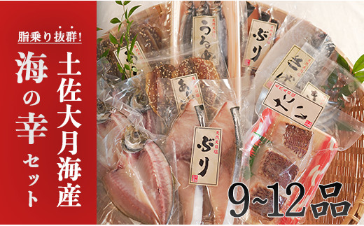 
土佐大月海産　海の幸セット　9～12品
