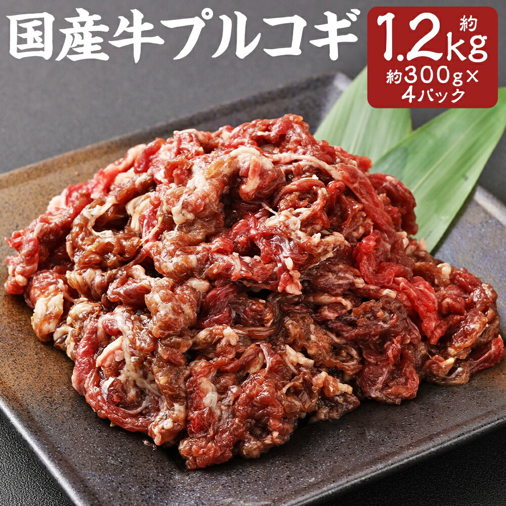 【ふるさと納税】国産牛 プルコギ 計1.2kg 300g×4パック 牛肉 お肉 特製タレ 簡単調理 冷凍 国産 長崎県 長崎市 送料無料