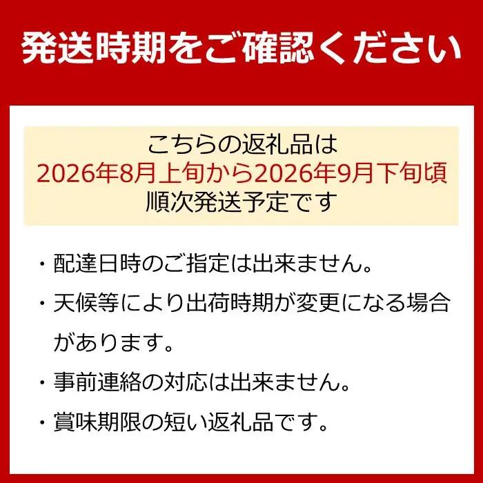 農園直送 朝採り 濃厚 巨峰 約3kg ［2026年・先行予約］巨峰 ぶどう