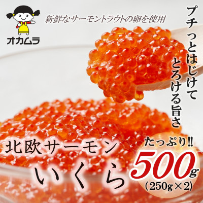 
オカムラ食品工業の北欧サーモンいくら 500g(250g×2)【1315624】
