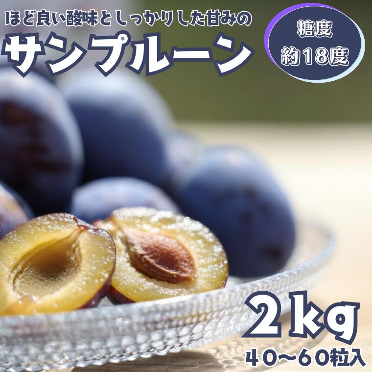 【ふるさと納税】糖度約18度 プルーン 信州生プルーン 溢れる果汁と肉厚の果肉が美味しい 「サンプルーン」 2kg箱 【限定100箱】【期間限定】 長野 フルーツ 果物 〔RS-05〕