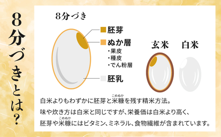【里山JAPAN】長野県産！生きた土壌で育った『御牧原米こしひかり 白米（八分搗き）5kg』と小田切牧場ビーフカレー、ビーフシチューセット｜白米白米白米白米白米白米白米
