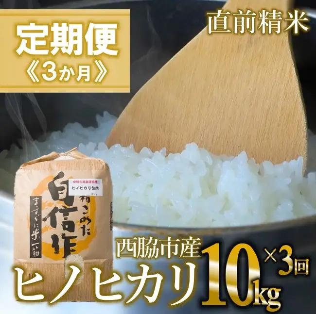 【定期便 3か月 ヒノヒカリ】白米10kg（3か月連続お届け） 2025年産　米 お米 米10㎏ お米10㎏ 兵庫県産 ひのひかり