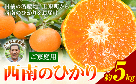 西南のひかり 約5kg さかもと果樹園 みかん