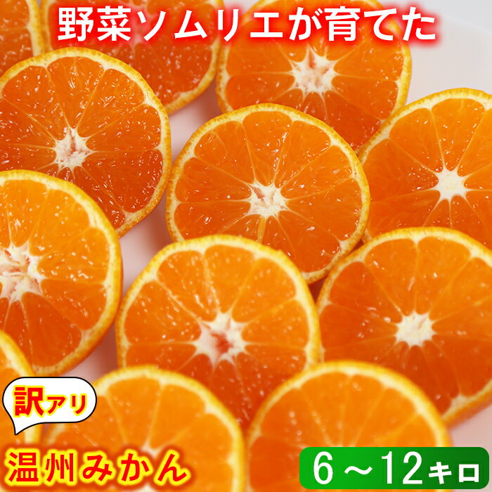 【ふるさと納税】【訳あり品】温州みかん 6kg〜12kg 訳あり 期間限定 数量限定 ミカン みかん 蜜柑 サイズ不揃い 傷 規格外 フルーツ 果物 ソムリエ石児さん 豊予農場 ＜103-704＞