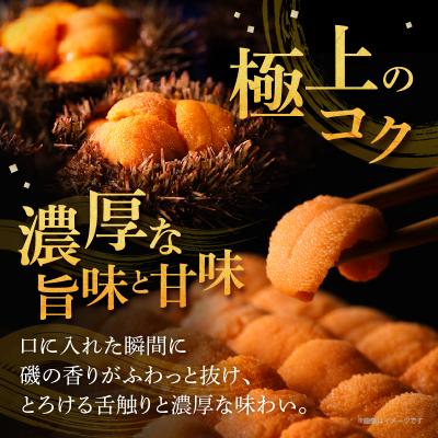 ふるさと納税 浜中町  養殖エゾバフンウニ(塩水パック)100g_H0009-115 |  | 01