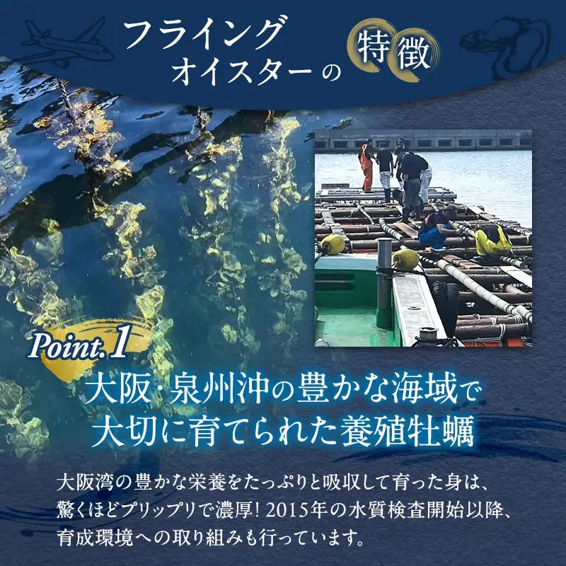 牡蠣 殻付き 1kg 加熱用 先行予約 生 牡蠣