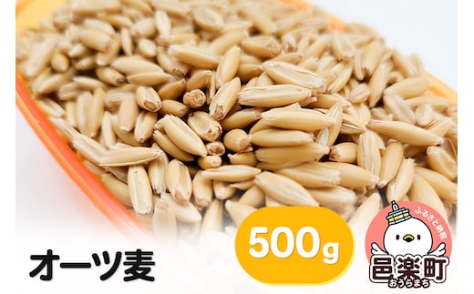 
										
										オーツ麦 500g×1袋 サイトウ・コーポレーション 飼料
									