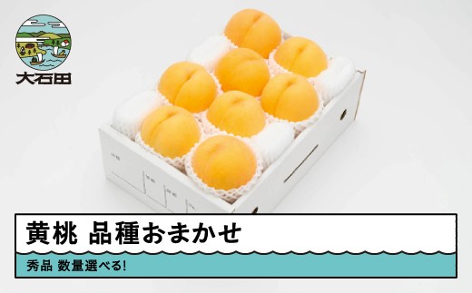 
                  【先行予約】 もも 有袋黄桃 秀品 品種おまかせ 化粧箱入り数量選べる フルーツ 果物 令和8年産 2026年産 山形県産 ns-mootx
                