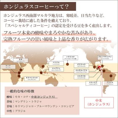 ふるさと納税 滑川町 ホンジュラスコーヒー 焙煎豆 200g 中挽き【グリーン】|19_pun-010101bb |  | 02