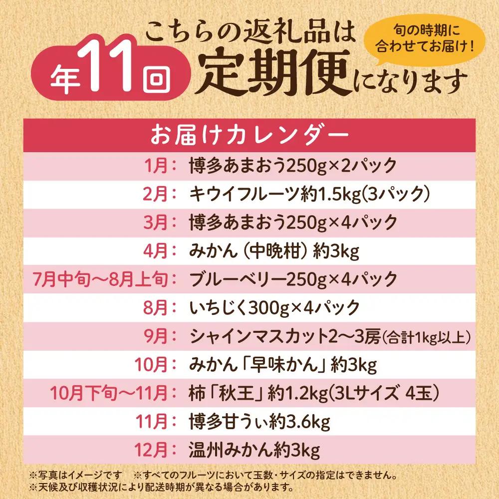 【定期便/年11回】フルーツ JAむなかた厳選！旬のフルーツ定期便 _HB0171