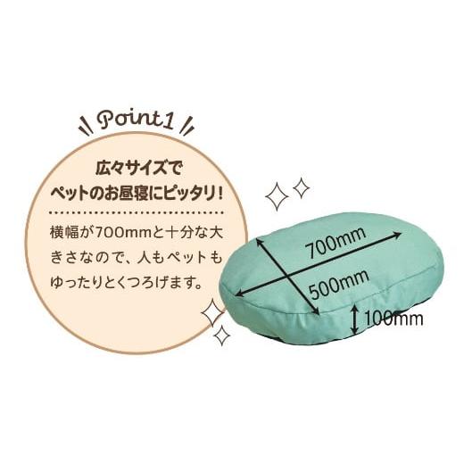 ふるさと納税 うきは市 あにまるシリーズnenemo(グリーン)U139-1DN-OTAN-GR |  | 01