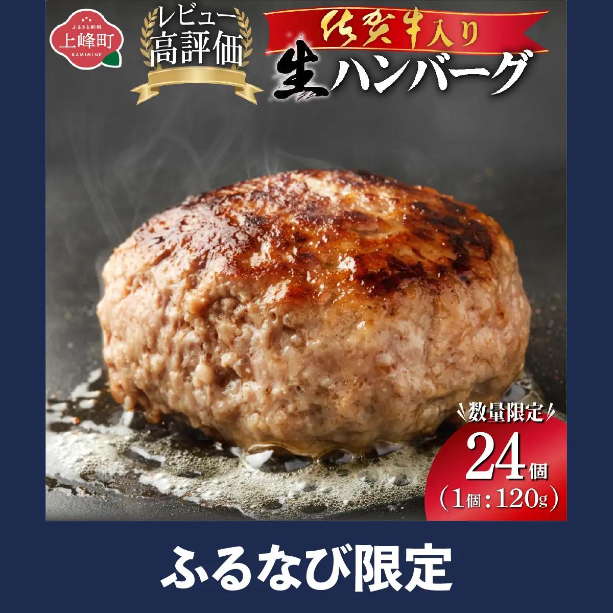 佐賀牛入り生ハンバーグ120g×24個  FN-Limited-VO