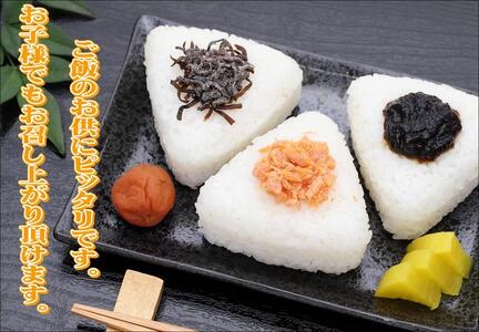 紀州南高梅　うす塩　A-084