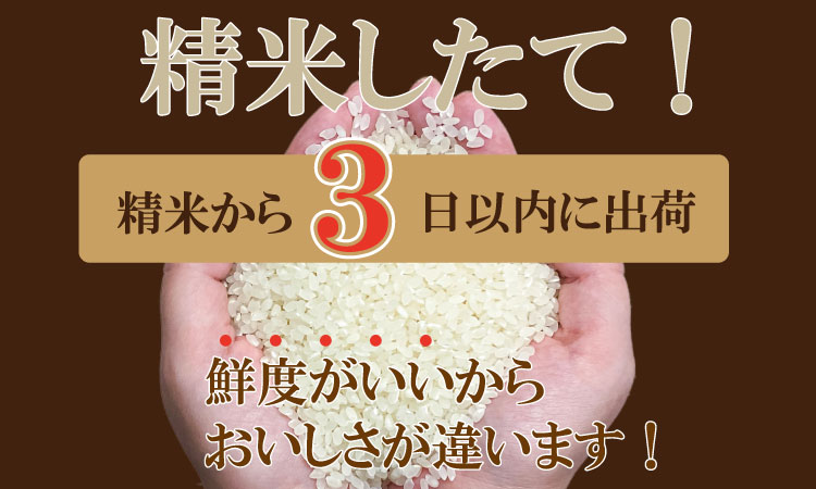 【新米予約】R7年度産（令和７年）特別栽培米 佐賀ブランド 米「 夢しずく 」（5kg）田中農場 精米 白米 5キロ 単位 もちもち 食感 冷めても 美味しい お一人様 ご家族用 ランキング 特A 評