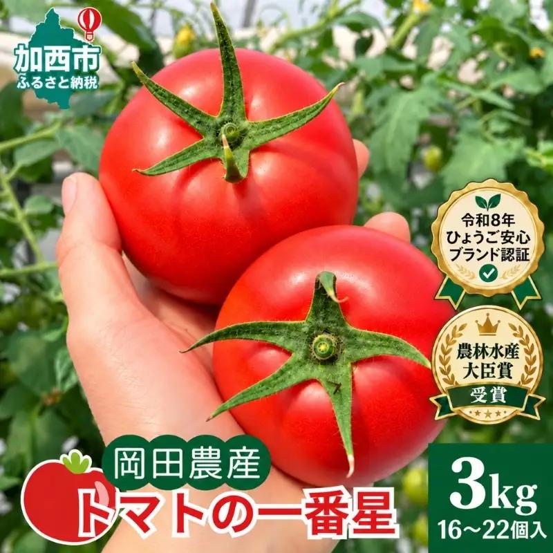 トマト 野菜 トマトの一番星 完熟 高糖度 トマト【3kg】【冷蔵】