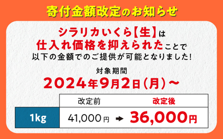 白糠町のブランドいくら シラリカいくら (生いくら) 1kg ( 250g × 4 ) いくら イクラ 鮭卵 鮭いくら 小分け 海鮮 送料無料 人気 ランキング 北海道 白糠町 〔お好みに味付けができ