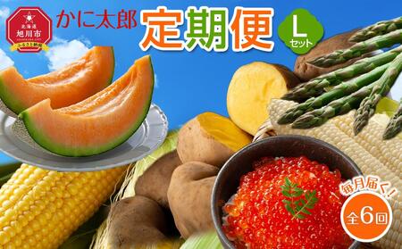 【先行予約】かに太郎定期便Lセット(アスパラ、メロン、ライオンコーン、白くまコーン、インカの目覚め、鮭いくら醤油漬け)2025年5月から発送開始予定 | 定期便 定期便 定期便 定期便 定期便 _03825