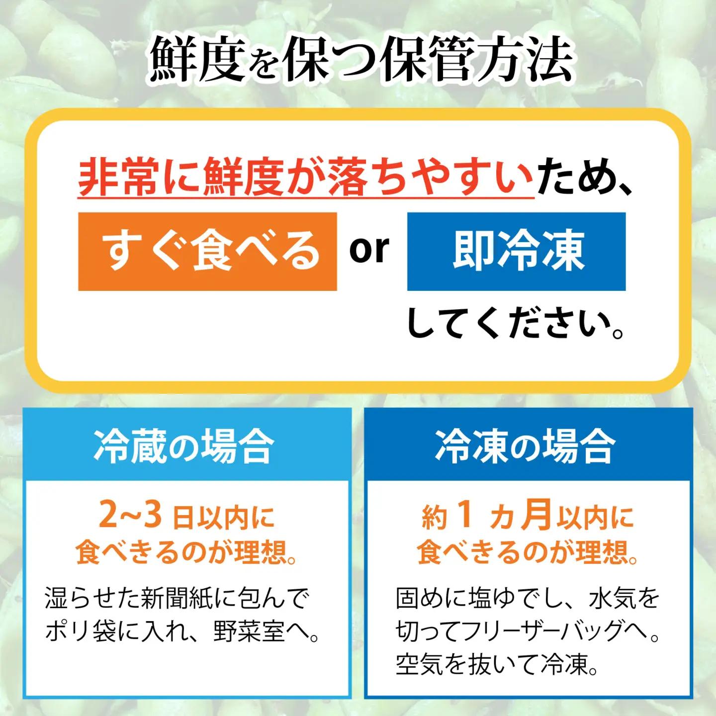 【先行予約】丹波篠山産 丹波黒枝豆 1kg 期間限定 枝豆