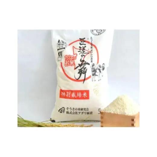 令和7年産　米　10kg　匝瑳の舞　精米 ／ お米 コメ こめ ごはん ふさこがね 白米 精米 10kg チバエコ 特別栽培 千葉県 匝瑳市