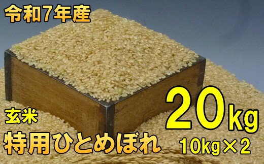 【4月16日より価格改定】 数量限定 令和7年産 岩手県奥州市産 特用ひとめぼれ 玄米 20kg(10kg×2) 生活応援 緊急支援 【7日以内発送】 おこめ ごはん ブランド米 [AC039]