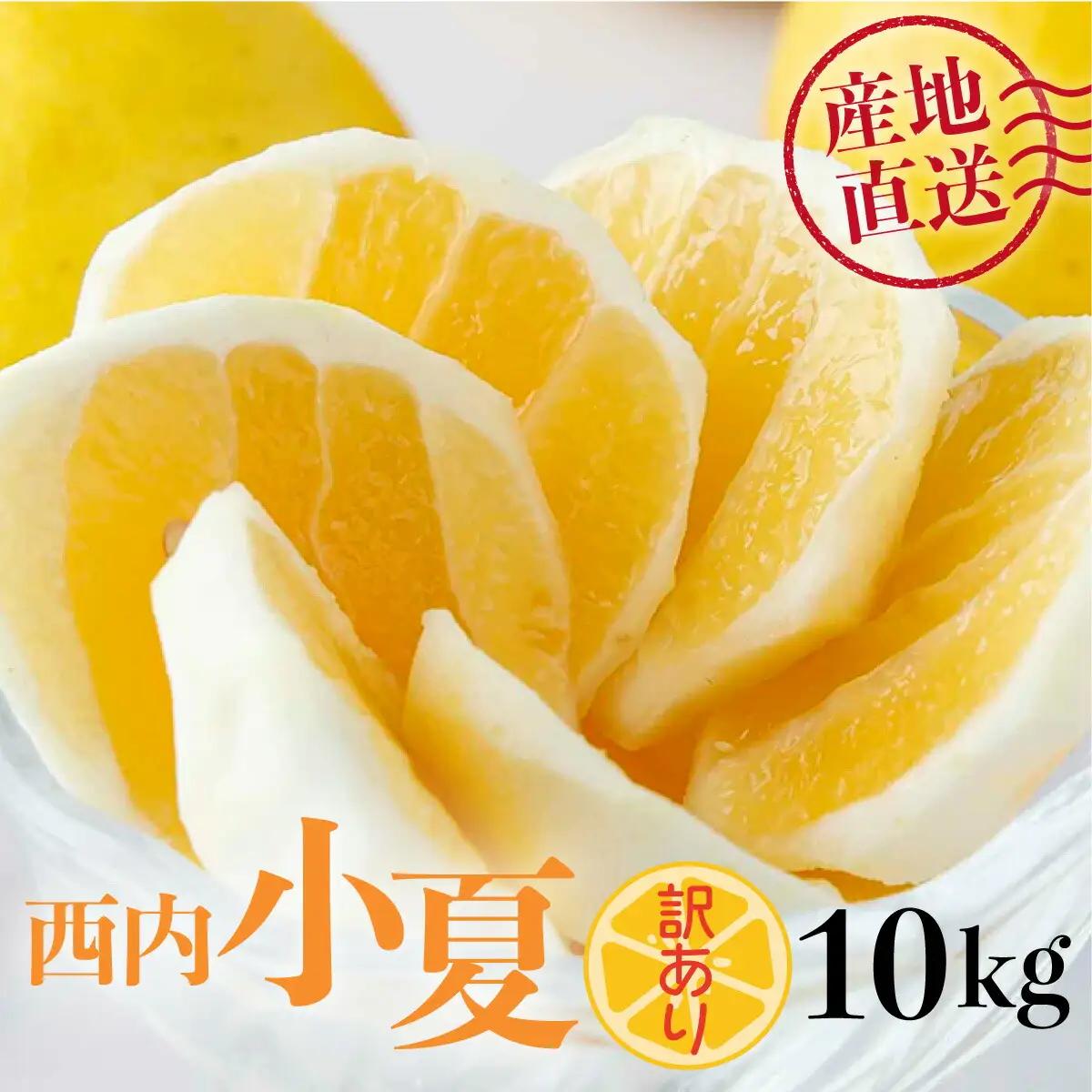 ＜先行予約＞【訳アリ】西内小夏 10kg　