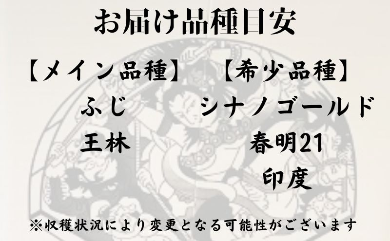 【4月～5月・CA貯蔵・クール便発送】ネプタりんごバラエティーセット贈答用約3kg【品種おまかせ】【弘前市産・青森りんご】