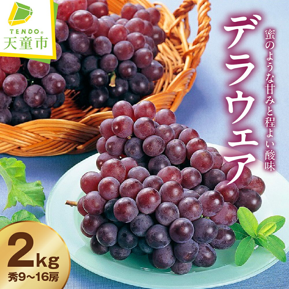 【ふるさと納税】ぶどう ( デラウェア ) 2kg 葡萄 果物 くだもの フルーツ 山形 お取り寄せ 産地直送 お取り寄せグルメ 送料無料 【 山形県 天童市 】