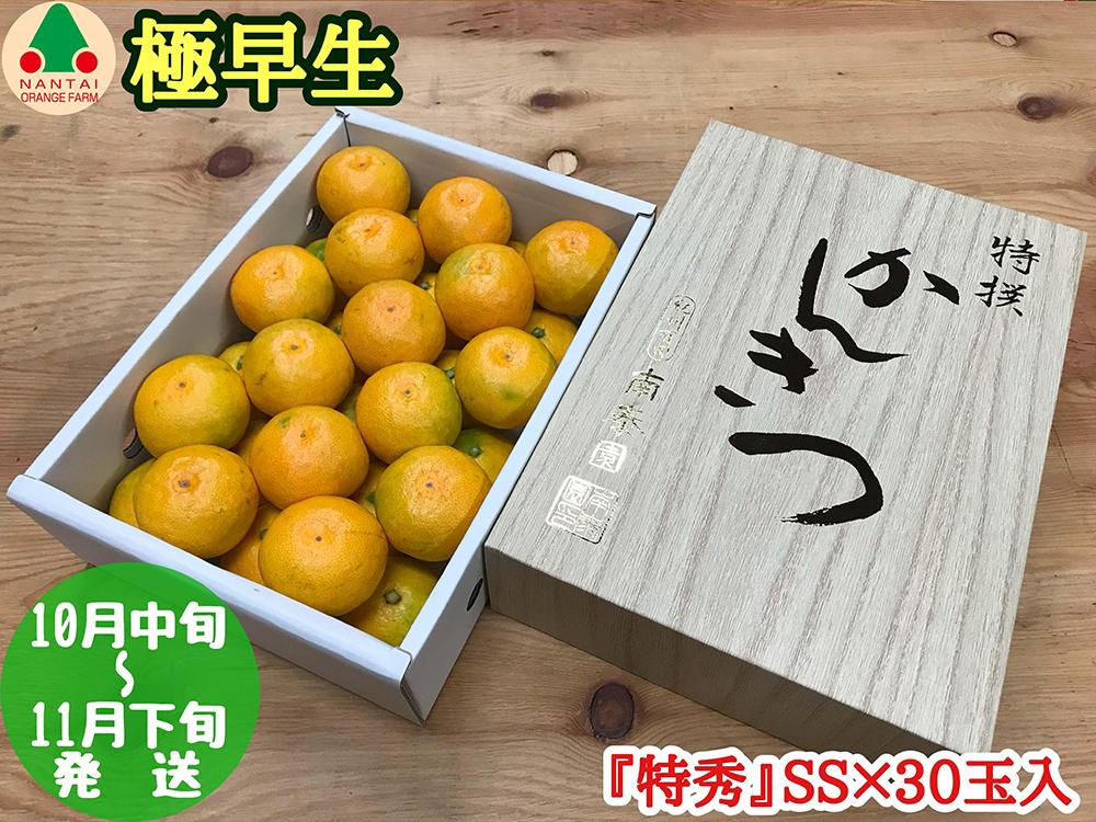 極早生 有田 みかん 化粧箱 小箱 特秀 小玉 SS サイズ 30玉入 南泰園 和歌山 有田みかん