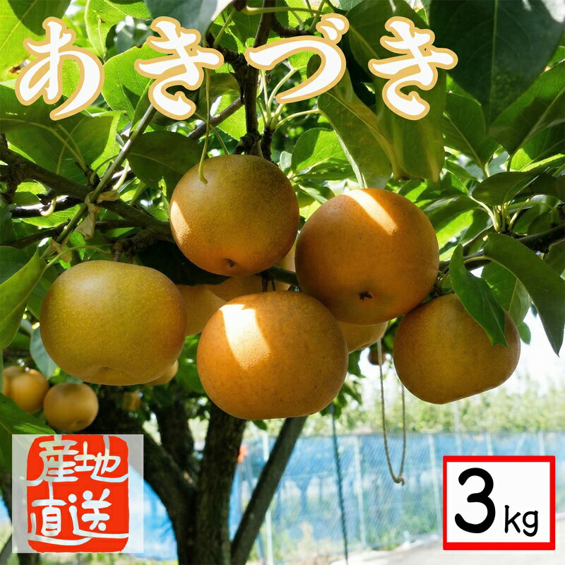 【ふるさと納税】【 産地直送 】 あきづき 3kg 先行予約 梨 フルーツ 果物 国産 日本産 梨 ナシ なし 和梨