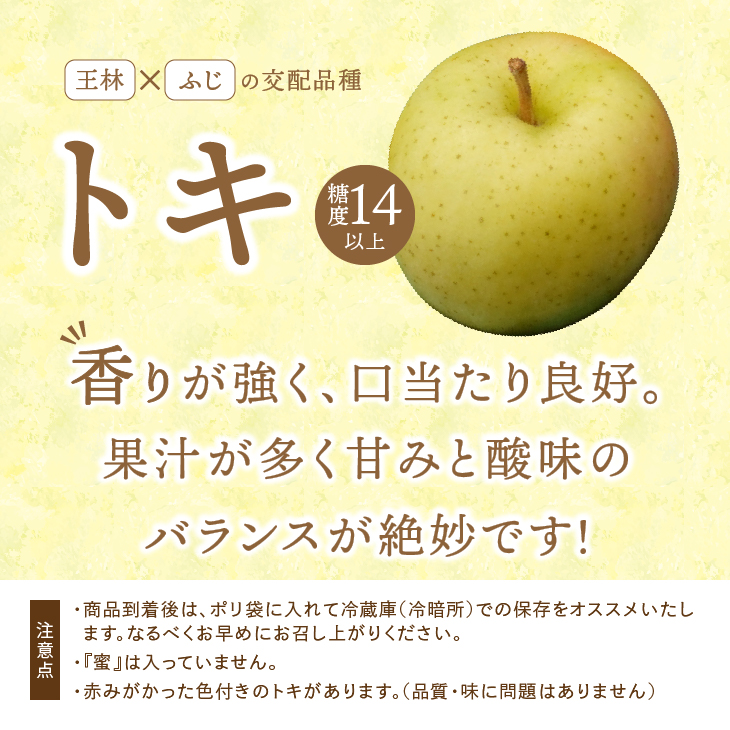 お試し用　江刺りんご「トキ」6玉 離島配送不可[AQ091]