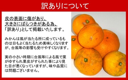 晩生品種】岸田果樹園プレミアム「温故蜜柑」約5kg _1942R