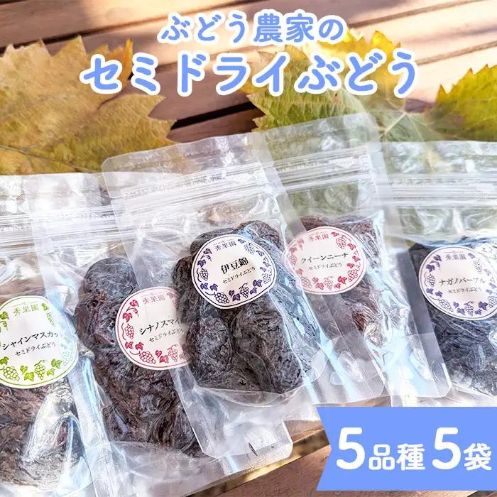 【秀果園】ぶどう農家のセミドライぶどう5品種5袋 250g (各50g)|巨峰、シャインマスカット、ナガノパープルなど　レーズン 砂糖不使用 無添加