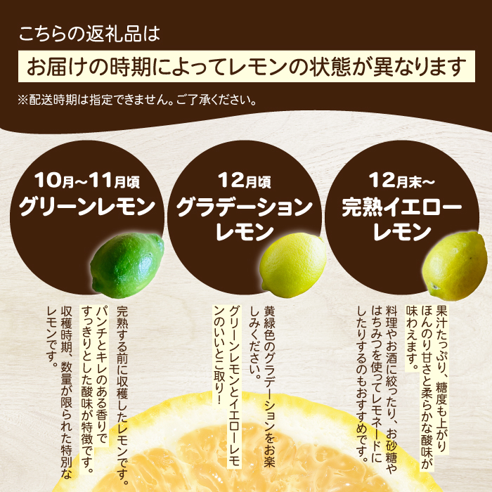 【おくはち農園】レモン 2.5kg 《2025年11月～2026年3月発送予定》栽培期間中 防腐剤 ワックス 不使用 旬 柑橘 かんきつ フルーツ 果物  166021