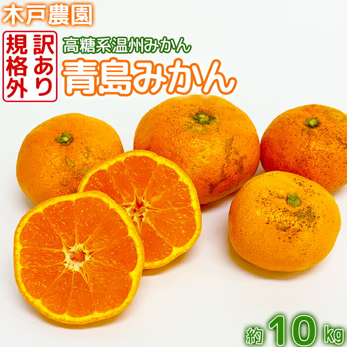 【ふるさと納税】 【訳あり・規格外品】木戸農園の青島 約10kg 高糖系温州みかん みかん 10kg 訳あり 先行予約 柑橘類 フルーツ 1月 2月 ＜113-014＞