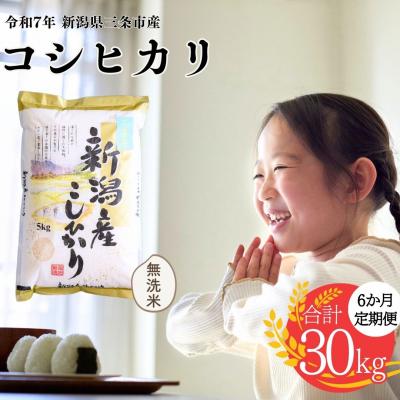 ふるさと納税 三条市 先行受付 [定期便] 無洗米 コシヒカリ 5kg6か月 三条市令和7年産 白熊【041S007】
