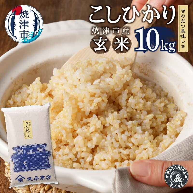 【ふるさと納税】 米 玄米 コシヒカリ 計10kg 5kg×2袋 ごはん お米 焼津 静岡コシヒカリ a32-036