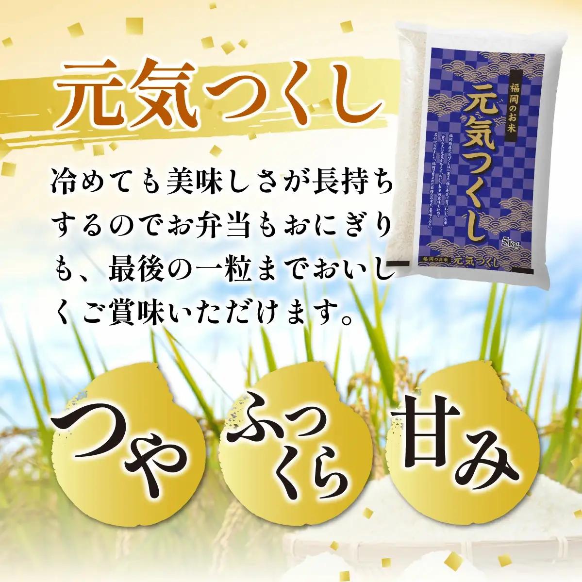 【定期便：３ケ月】令和７年産 福岡県産米 元気つくし 5kg 精米 CY011sub3