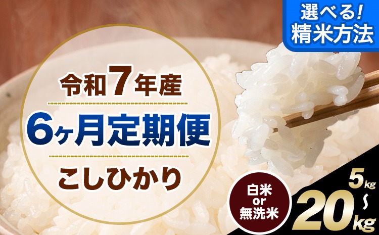 【6ヶ月定期便】無洗米 も 選べる 定期便 こしひかり 白米 or 無洗米 選べる精米方法 定期便 内容量 5kg 10kg 20kg 白米 精米 無洗米 熊本県産(南阿蘇村産含む) 単一原料米 南阿蘇村《お申込み翌月から出荷》---kh7tei_63000_5kg_mo6_mna_h---