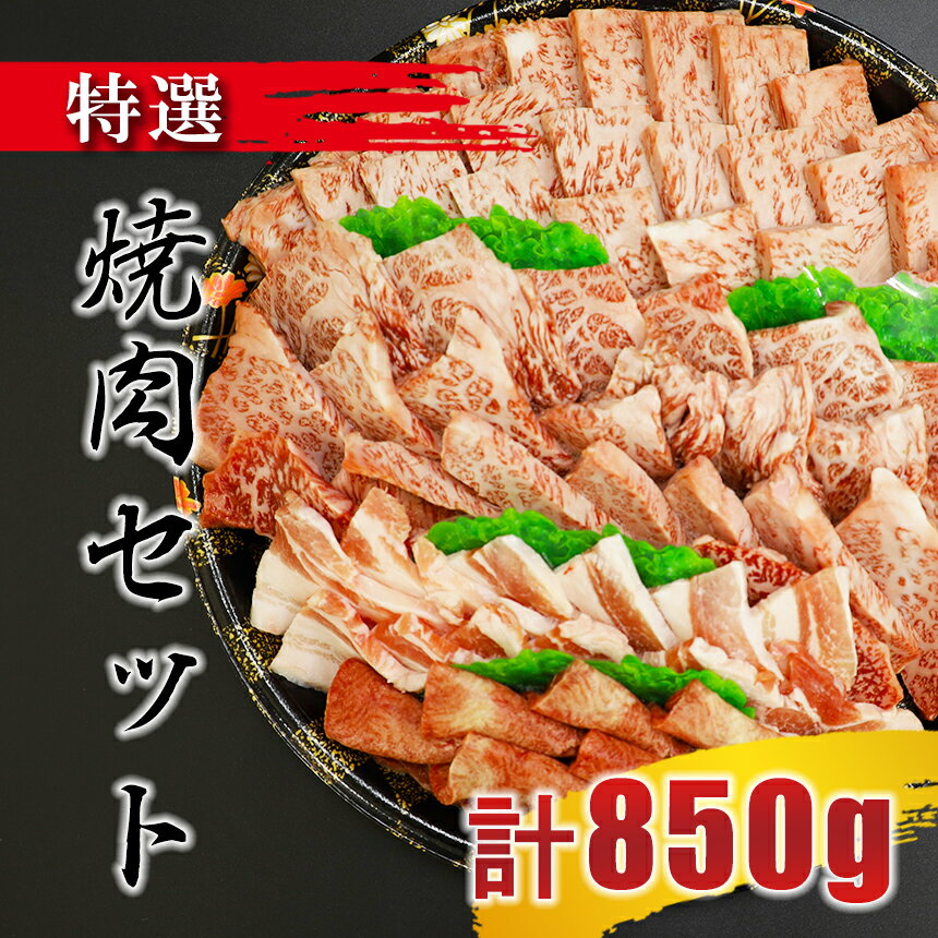 【ふるさと納税】特選焼肉セット(牛肉:ロース 300g、牛肉:カルビ:300g、牛タン:100g 豚肉:150g) | 熊本県 熊本 くまもと 和水町 なごみ 牛肉 豚肉 ロース カルビ 牛タン 黒毛和牛 焼肉