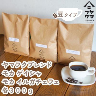 ふるさと納税 中頓別町 【自家焙煎珈琲】ヤマフクブレンド　モカゲイシャ　モカイルガチェフェ　コーヒー豆300g飲み比べセット