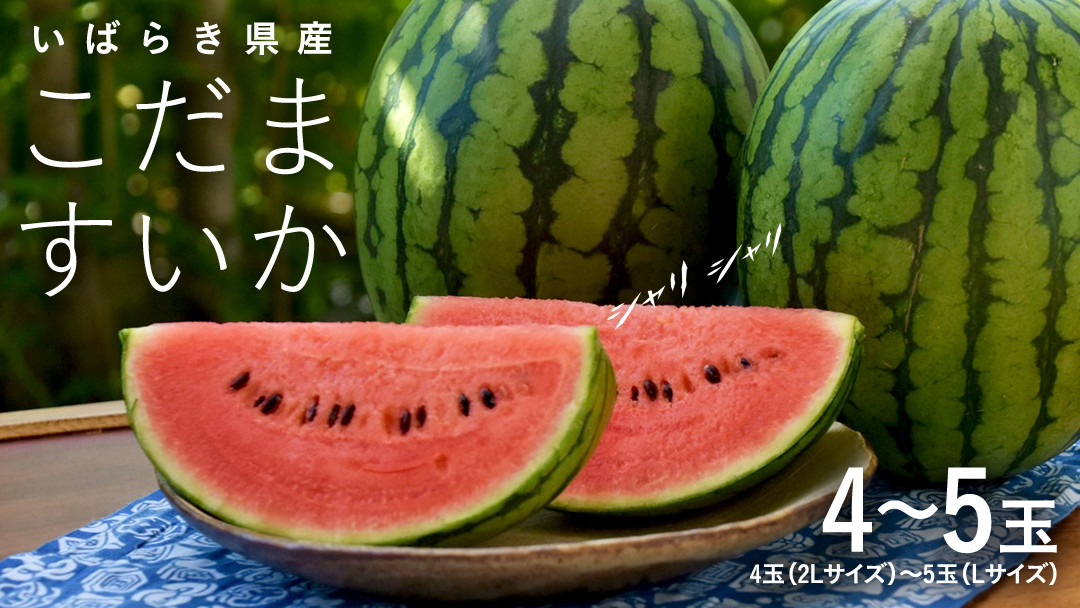 
            こだま すいか 4玉～5玉 【2025年5月中旬から発送開始】 小玉すいか こだますいか 小玉 スイカ 西瓜 果物 フルーツ 茨城 農家直送 産地直送 [BQ015sa]
          
